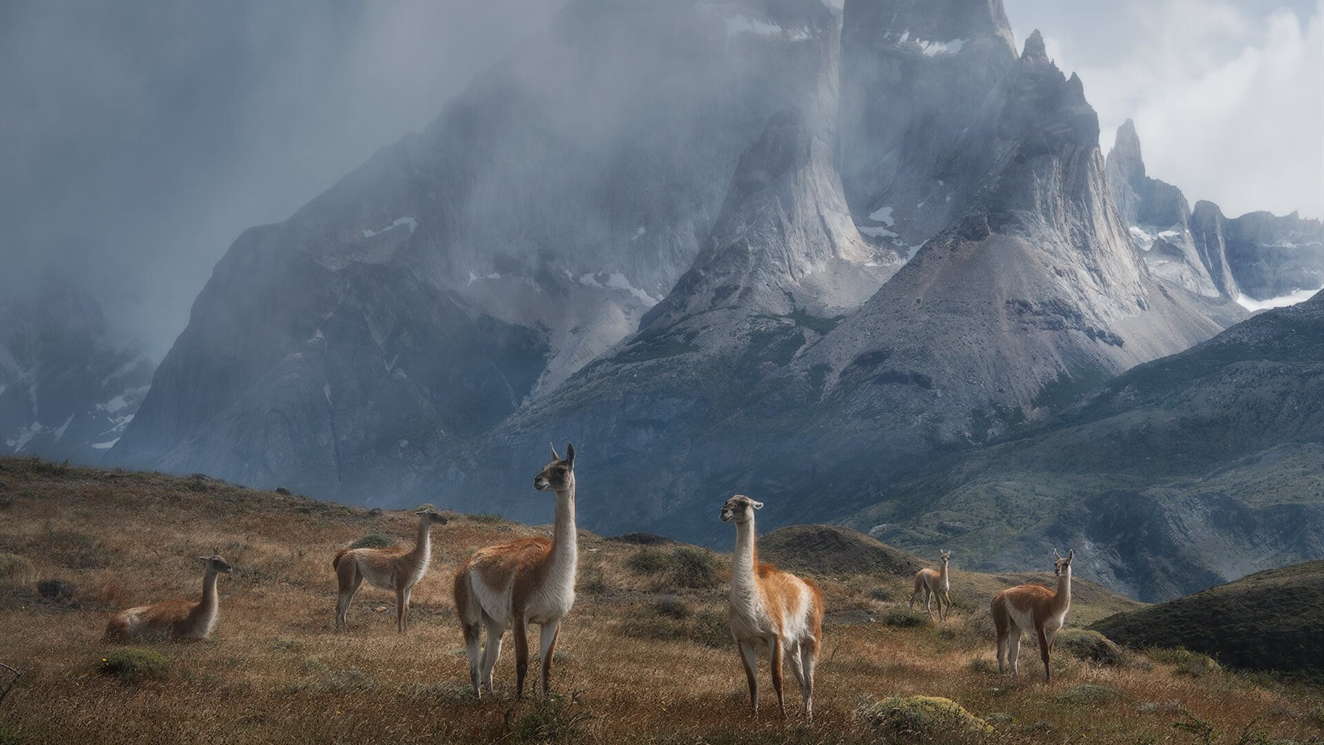 暗夜与刀锋，阿圭罗那一夜，如何以一人之力刺穿瑞士铁壁