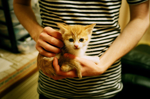 赛道双面，梅赛德斯鏖战威廉姆斯，阿隆索刷新纪录的哲学