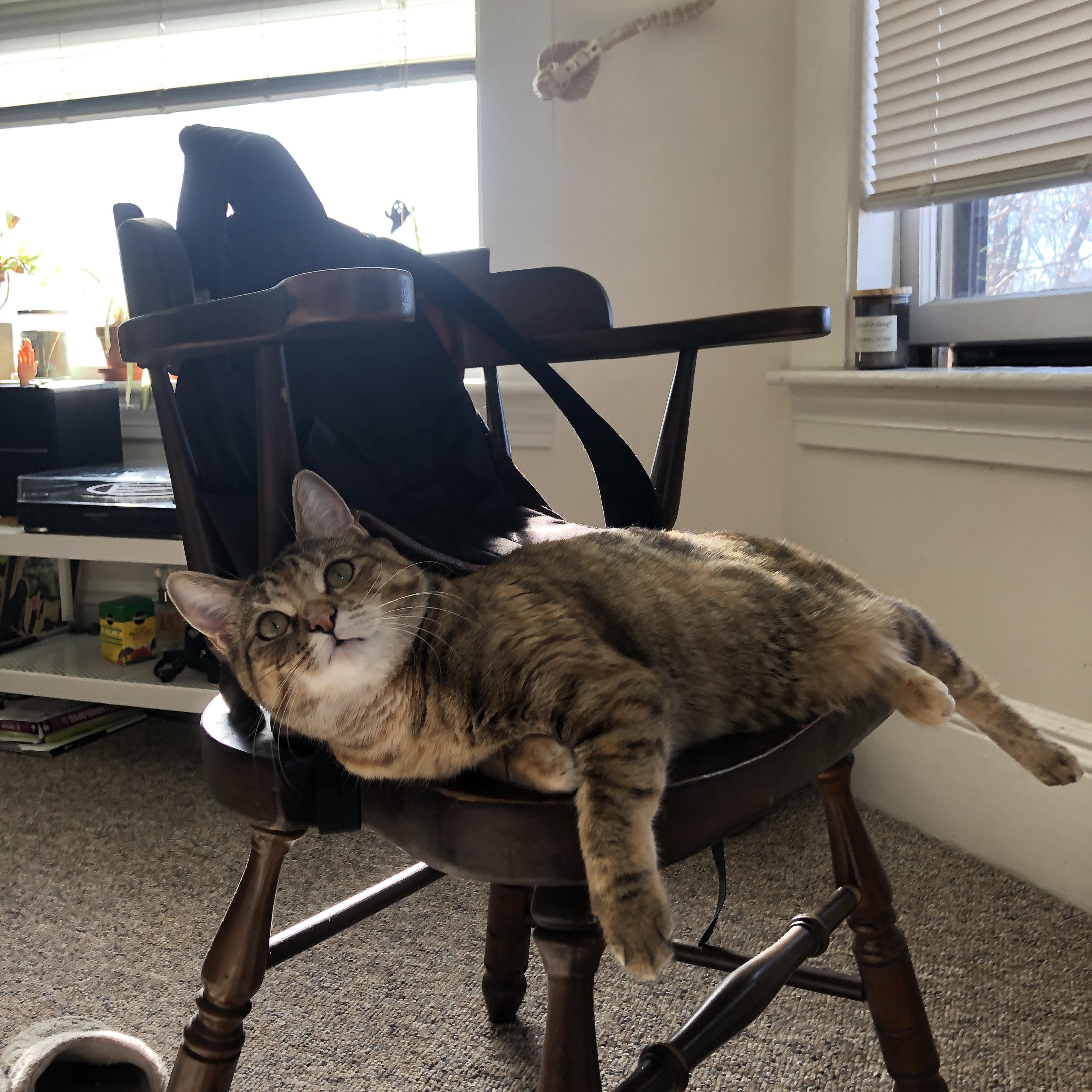 绿黑风暴席卷万达大都会，亚特兰大强压马竞，C罗终成关键先生