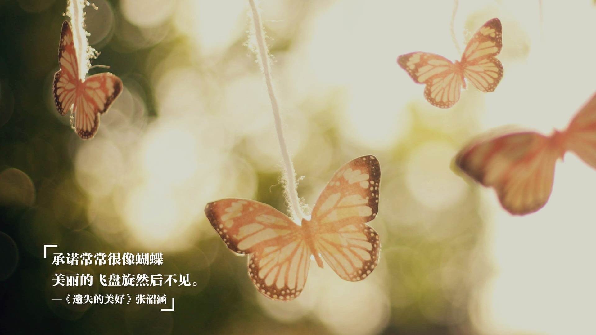 双翼里程碑,奥利维耶的蜕变与秘鲁之翼如何提前终结悬念