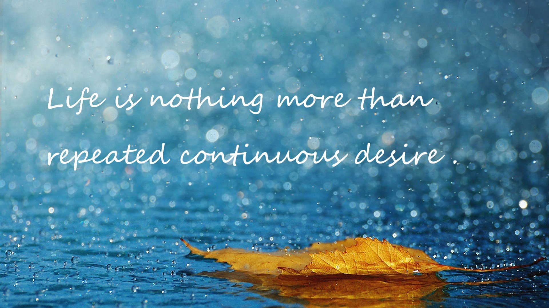 暗夜蜂群，年度焦点战中黄蜂的战术沉默与爵士的无声溃败