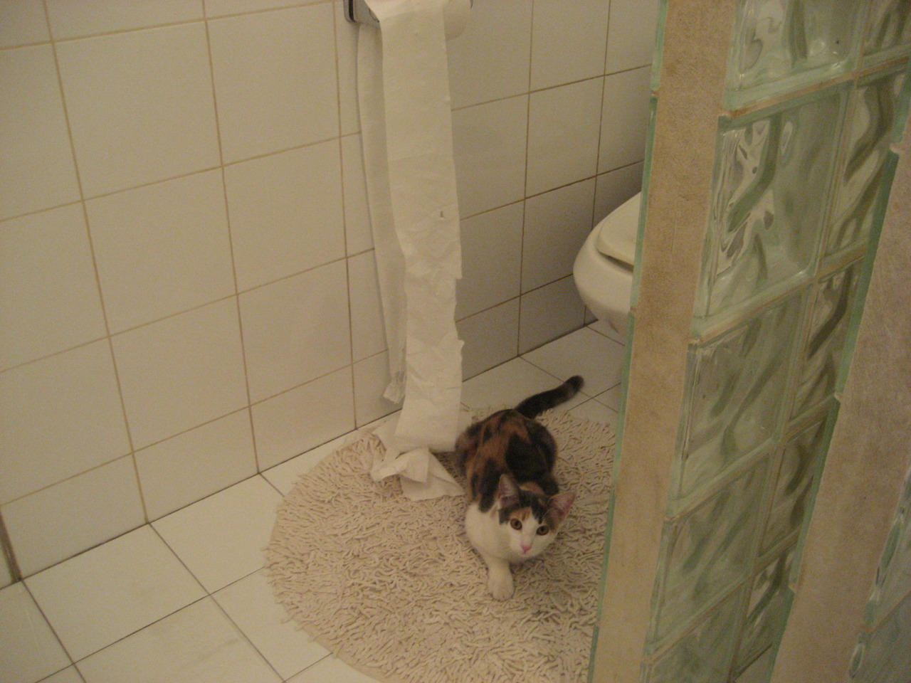 萨卡独造三球闪耀全场，美国队逆转强势晋级迎战希腊