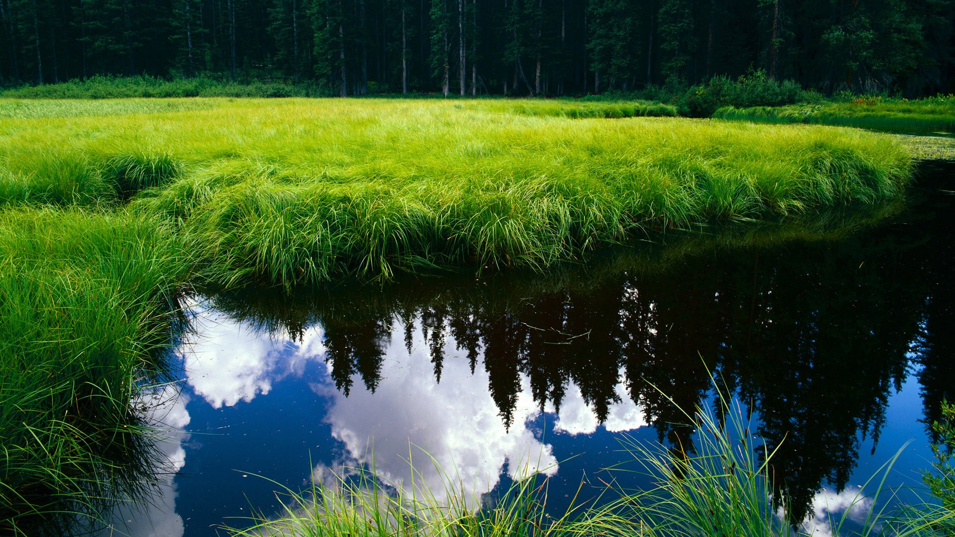 当山西队穿越次元收割马刺，克莱在奥运赛场的量子投影接管比赛