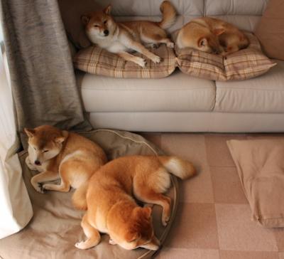 当终场哨声响起，意甲的闪电与洛杉矶的绝杀