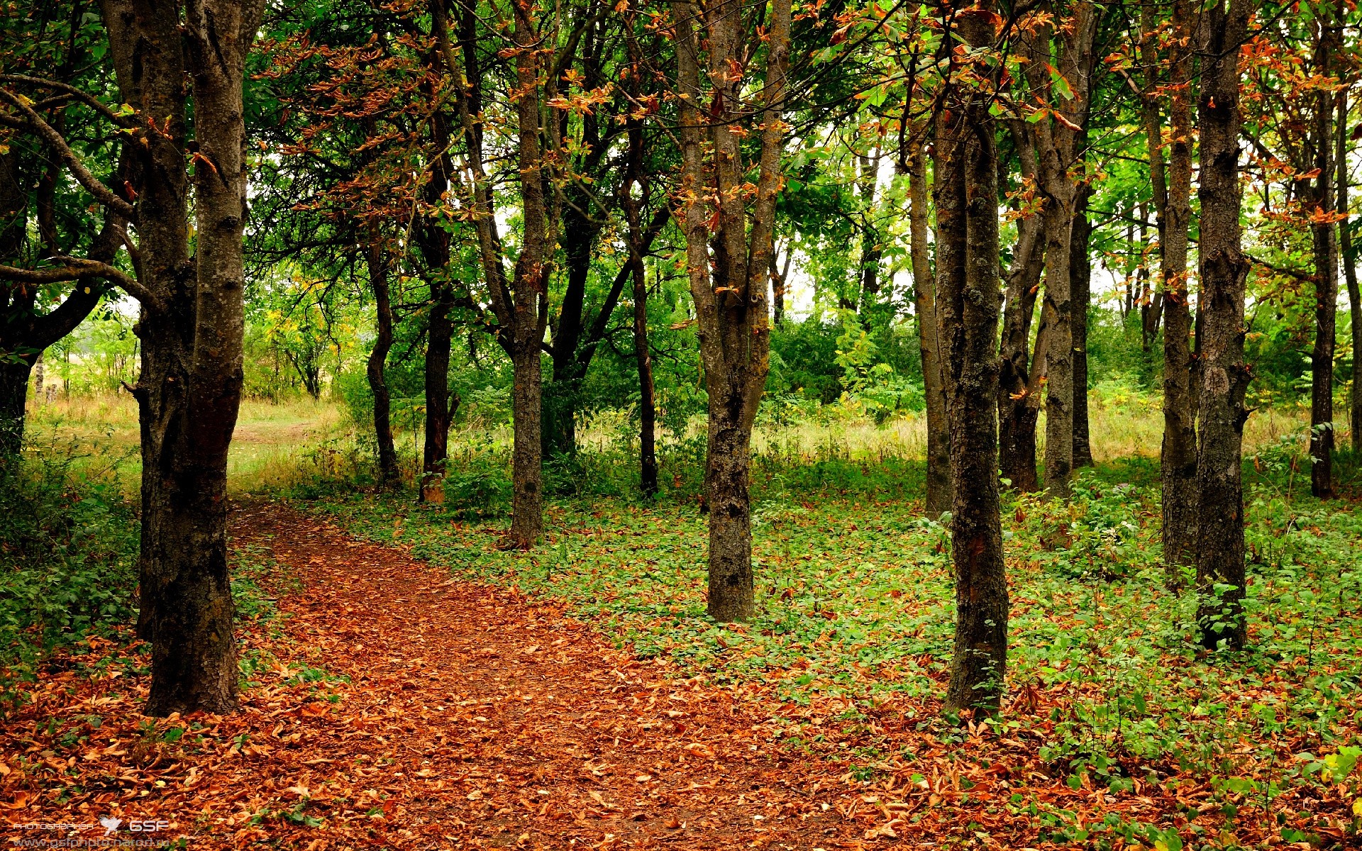数据之夜的唯一舞者，斯通斯如何用爆炸式表现重新定义现代后卫