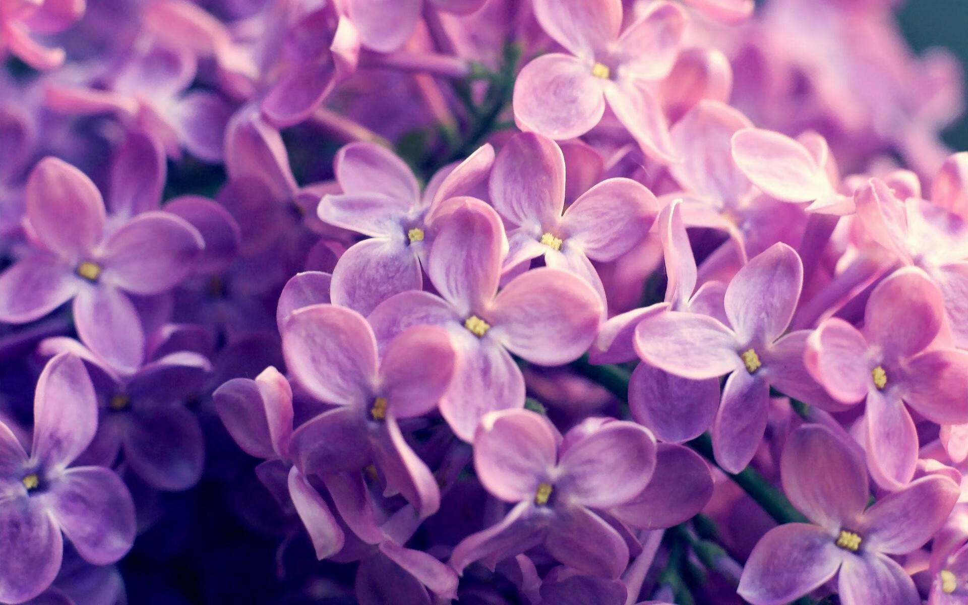 约基奇在伯纳乌罚丢了点球，却找回了更重要的东西