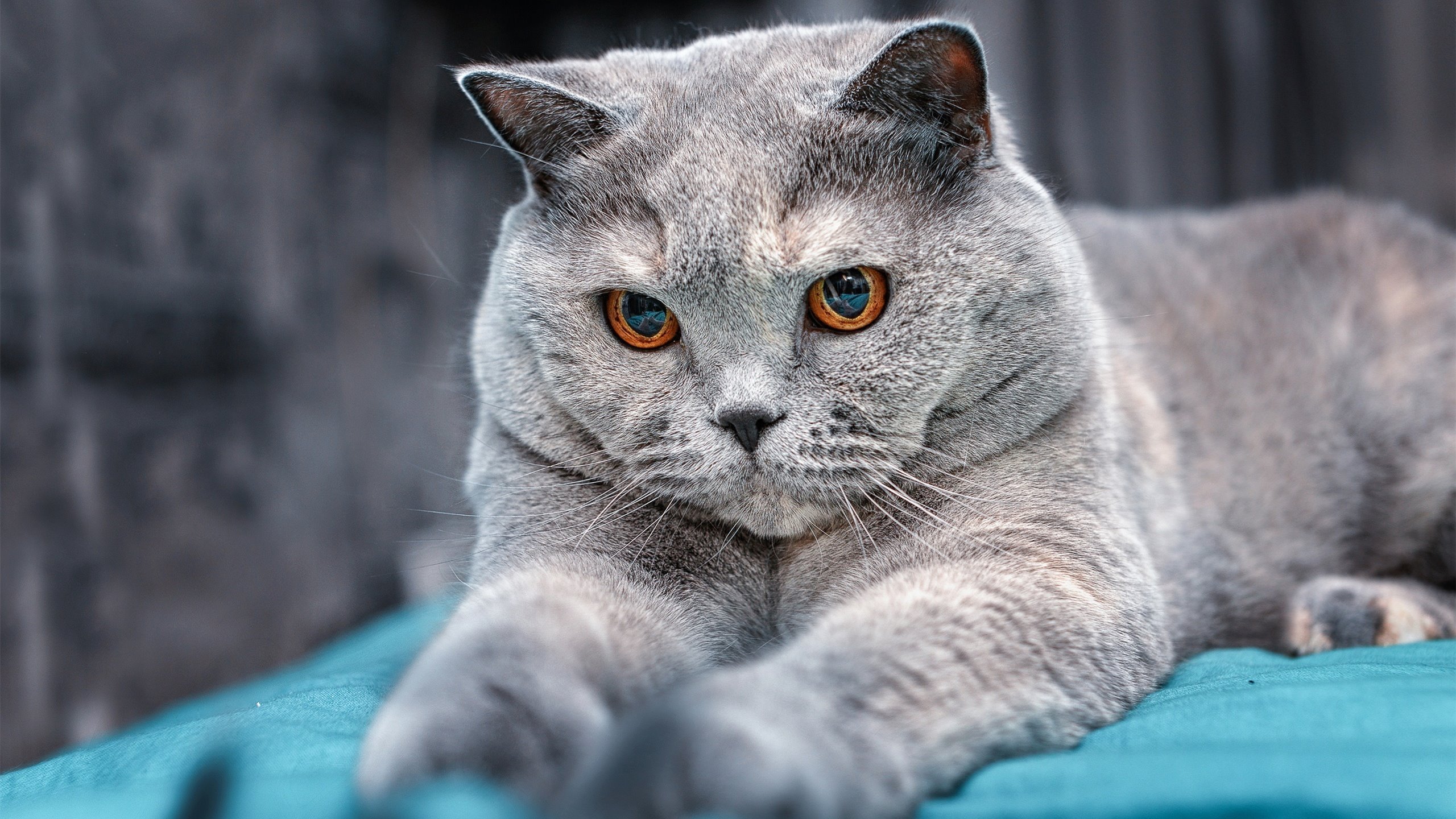 有人拼到最后一秒,有人提前让对手投降