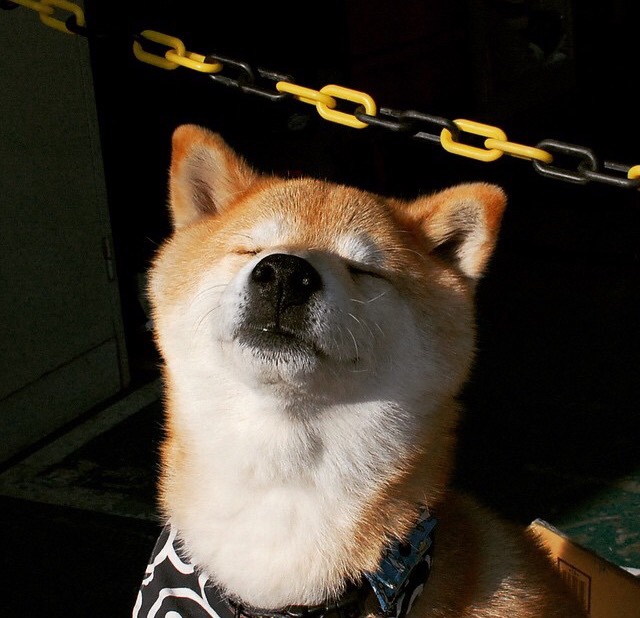 沉默的统治，斯通斯用数据重新定义决赛伟大