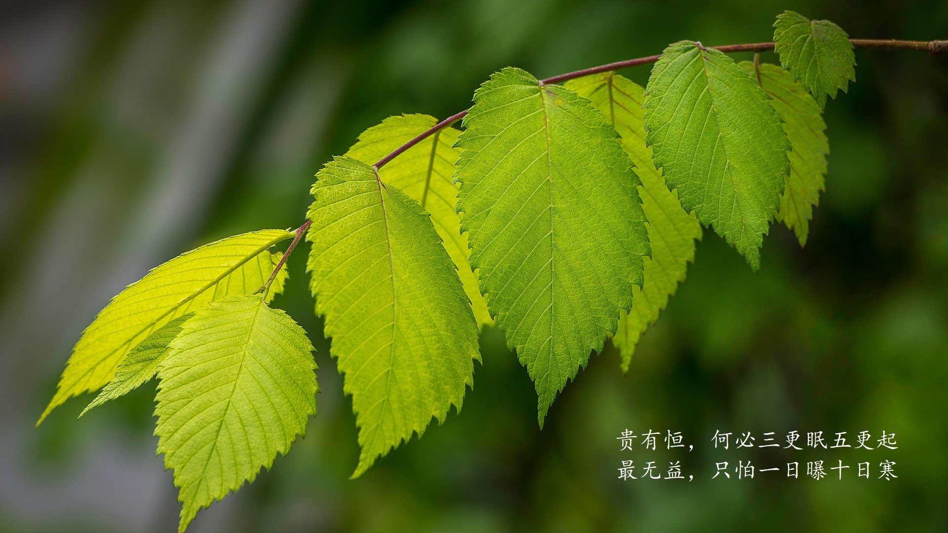 这是一篇为您定制的、带有强烈戏剧张力和唯一性视角的足球评论文章。文章基于您提供的爆冷关键词(越南压制奥地利)构建了一个发生在2026年世界杯的平行宇宙叙事